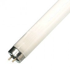Лампа LightBest BL 10W T8 G13 355-385nm L=331mm (в ловушки насекомых) -   (аналог 604576) 700909001 - фото 26921