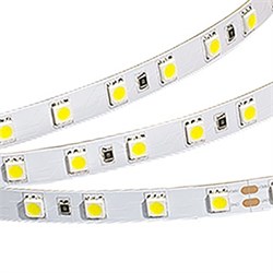 Лента RT 2-5000 36V Day White 2x(5060,300 LED,LUX) 2000000242903 - фото 32891