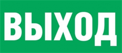 Пиктограмма "ВЫХОД" для светильника Pelastus PL EM 1.3 320х185мм 32541814815 - фото 41246