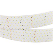 Светодиодная лента RT 2-2500 24V Day5000 5x2 (2835, 875 LED, CRI98) (Arlight, 36 Вт/м, IP20) 025162(1)