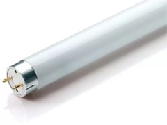 Лампа Philips Actinic BL  TL-K 40W 10R 4200K D38 G13  - 871150061223640