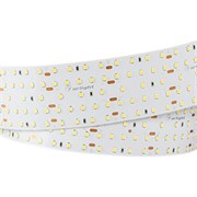 Лента S2-2500 24V Day 4000K 52mm (2835, 420 LED/m, LUX) (Arlight, 30 Вт/м, IP20) 021204(1)-1