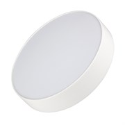 Светильник SP-RONDO-R250-30W Day4000 (WH, 120 deg, 230V) (ARL, IP40 Металл, 3 года) 022232(2)