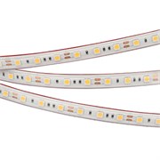 Лента герметичная RTW-PS-B60-12mm 12V Day4000 (14.4 W/m, IP67, 5060, 5m) (Arlight, 14.4 Вт/м, IP67) 022324(2)