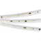 Лента ARL-50000PV-5630-72-230V Warm2700 (15mm, 14W/m, IP65) (Arlight, 14 Вт/м, IP65) 027054(1) - фото 100239