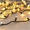 Светодиодная гирлянда ARD-STRING-CLASSIC-10000-BLACK-100LED-MILK-SYNC RGB (230V, 6.5W) (Ardecoled, IP65) 028214 - фото 113570