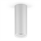 Светильник Gauss Overhead накл цил 12W 920lm 4100K 170-240V IP20 79*200мм белый LED 1/30 HD013 - фото 38529