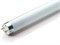 Лампа Philips Actinic BL  TL-K 40W 10R 4200K D38 G13  - 871150061223640 - фото 41940