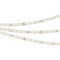Лента RT 2-5000 24V 1.6X Warm2700 (2835, 490 LED, PRO) 2000000242217 - фото 42180