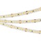 Лента RT 2-5000 24V White 3x (2835, 840 LED, LUX) 2000000245010 - фото 44353