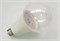 Лампа FL-LED  A80    12W  PLANTS RED  E27    220В     80*135мм   FOTON LIGHTING - 611178 - фото 61362