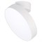 Светильник SP-RONDO-FLAP-R250-30W Day4000 (WH, 110 deg) (Arlight, IP40 Металл, 3 года) 028168 - фото 88625