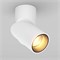 Светильник SP-TWIST-SURFACE-R70-12W Warm3000 (WH-BK, 30 deg) (Arlight, IP40 Металл, 3 года) 024992(1) - фото 88734