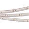 Лента герметичная RTW-PS-A120-10mm 24V Day4000 (9.6 W/m, IP67, 2835, 50m) (Arlight, 9.6 Вт/м, IP67) 024576(2) - фото 89487
