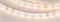 Лента RT 2-5000-50m 24V Warm2700 (3528, 60 LED/m, LUX) (Arlight, 4.8 Вт/м, IP20) 024585-1 - фото 96068