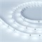 Лента ULTRA-5000 12V Cool 8K (5630, 150 LED, LUX) (Arlight, 12 Вт/м, IP20) 013852 - фото 98806