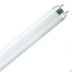 Лампа линейная люминесцентная ЛЛ 36вт TLD 36/33-640 G13 белая - фото 15952