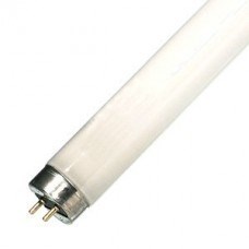 Лампа LightBest BL 10W T8 G13 355-385nm L=331mm (в ловушки насекомых) -   (аналог 604576) - фото 26921