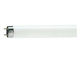 Лампа TL-D 90 Graphica 36W/950 DIN-STANDART-   - фото 9607
