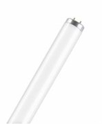 Лампа L20/640 SA  G13 D38mm 595mm (холодный белый 4000 K) -  