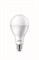 LED лампа LEDBulb      19-160W E27 6500K 220V A80 матов.  2300lm  d80х155мм  -   PHILIPS - фото 28060